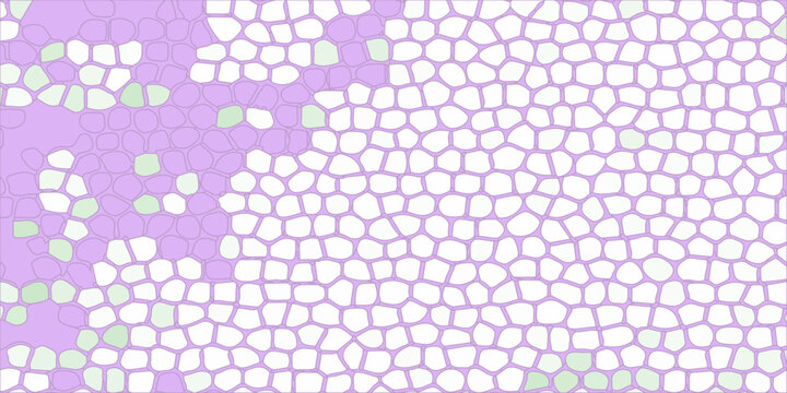 Abstract purple mosaic pattern with white and green cellular Voronoi tiles, pastel geometric background texture