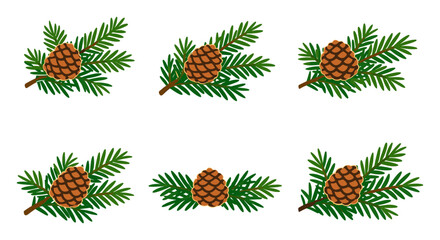Fototapeta premium Pine cone branches illustrate natural elements for Christmas, winter and holiday décor on a white background