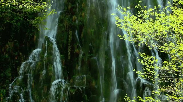 新緑と樽滝