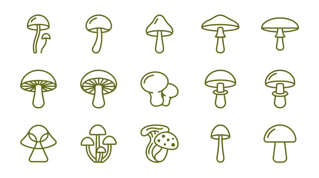 Assorted green mushroom species line art icons.
