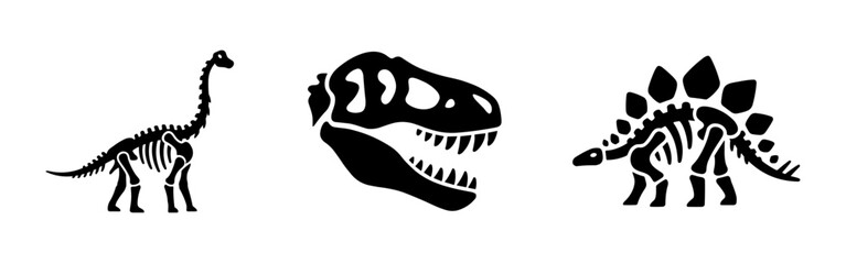 Diverse Dinosaur Skeletons and Skull Icon Set. Black silhouettes of Brachiosaurus skeleton, T-Rex skull, and Stegosaurus skeleton. © Lili