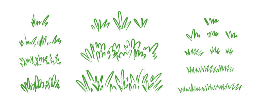 Set of crayon green grass border. Hand drawn field frame. Kid sketch drawing. Garden vector illustration chalk scribble. Grass freehand grass boarder. Simple childish funky bush, tuff forest landscape