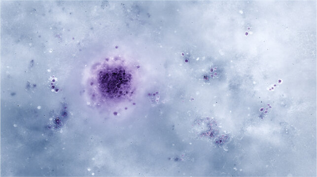 Virus y bacterias