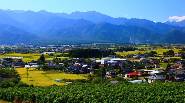 民家と実りの稲田と北アルプス