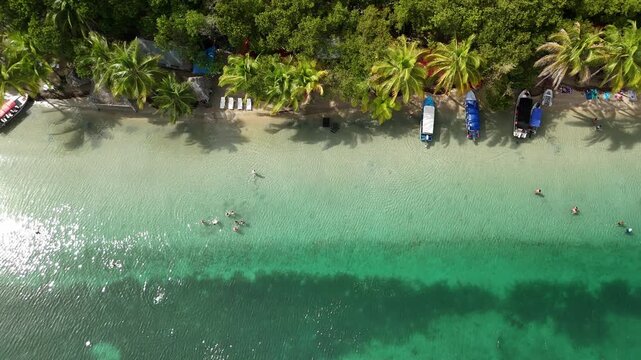 Aerial photograph of the beaches of Bocas del Toro in Panama, palm trees, clear waters and white sands