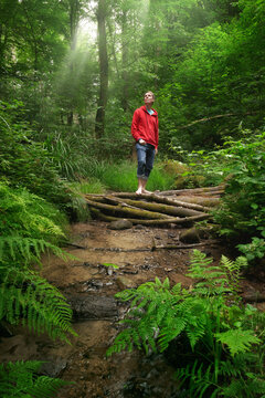 Barefoot man at a stream in a green forest looking up at the trees, enjoying the beauty of the rainforest and the creek's freshness and cool water. 