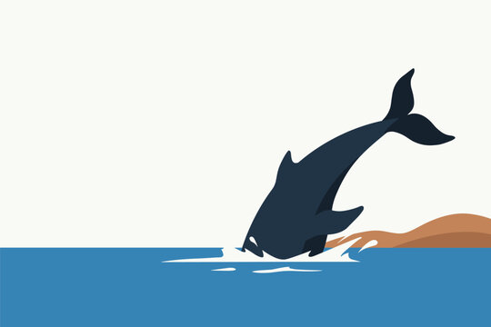 Flat vector illustration of a large killer whale diving gracefully into the deep freezing blue ocean water, animal concept