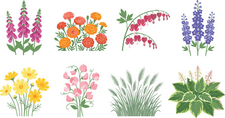 Set of decorative garden flowers and ornamental plants vector illustrations on white background © IconicCreations