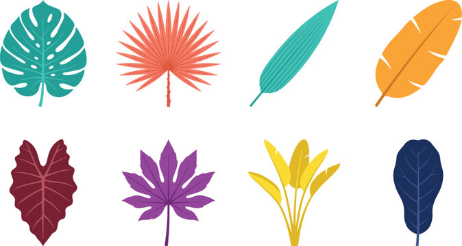 Vector illustration set of colorful tropical leaves and exotic jungle plants isolated on white background