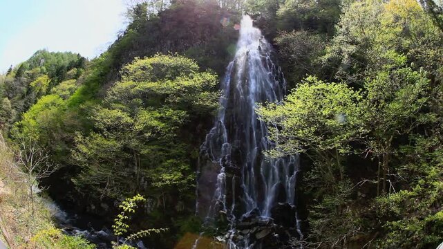 新緑と樽滝