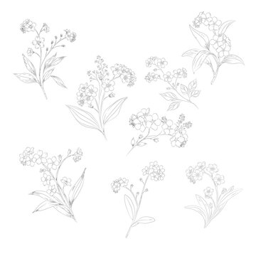 Forget Me Not Line Art Clipart Bundle, Minimal Flower Drawings 