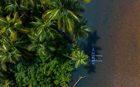 Aerial view of a blue boat with people floating on a river beside lush palm trees in Agonda, Goa, India.