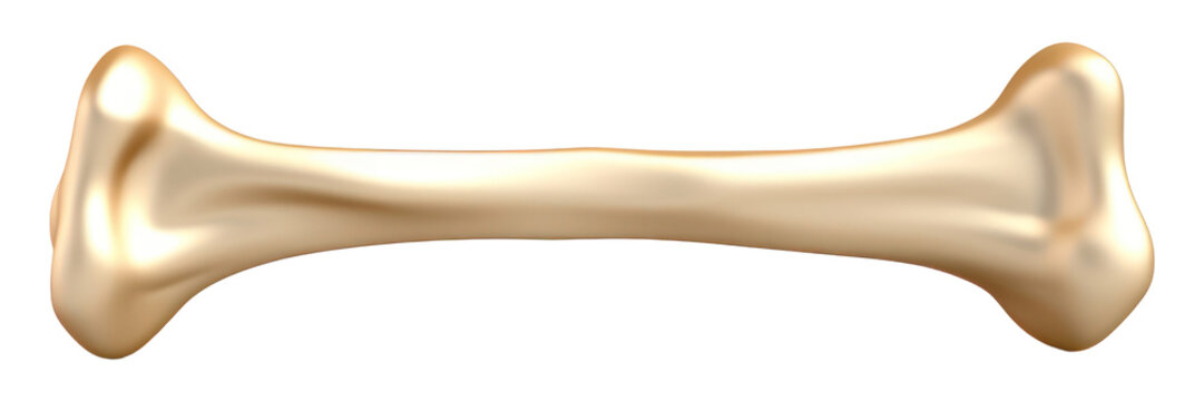 PNG Bone white background simplicity baseball.