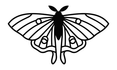 Fototapeta premium Minimalist black silhouette of a luna moth with symmetrical wing patterns and elegant contours isolated on a white background, nature design concept