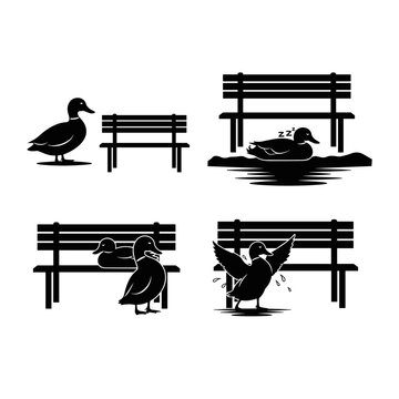 Ducks and park benches at a serene duck pond