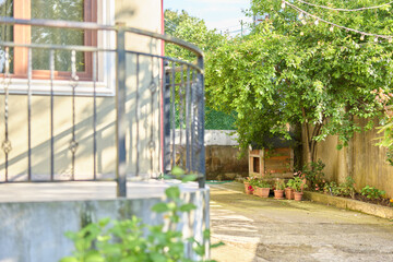 Fototapeta premium A calm morning on a sunny porch overlooking a small garden, greenery framing a cozy home. A peaceful scene for everyday relaxation and simple outdoor living