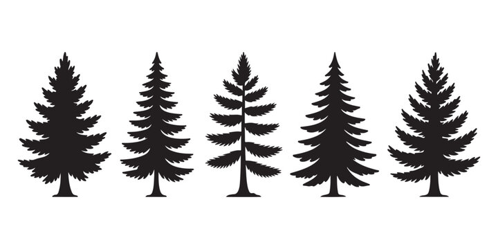 Collection of coniferous tree silhouettes for winter forest landscape design isolated on white background vector.