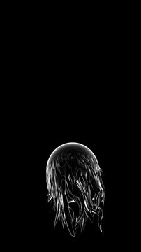 A vertical abstract animation of a glowing monochromatic jellyfish structure, tailored for technological start up luxury glamour fashion brands.