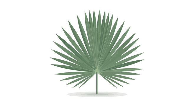 Lush Green Fan Palm Leaf Illustration Isolated on White Background for Tropical Summer Botanical Design
