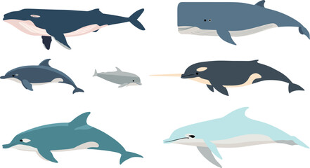 Marine Sea Mammal Vector Collection with Flat Cartoon Blue Whale Sperm Whale Narwhal and Dolphin Icons for Ocean Wildlife Graphic Designs © SUMON