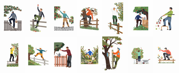 Naklejka premium Set of flat illustrations depicting men harvesting apples and picking fruit from trees while climbing fences in an outdoor garden or orchard setting.