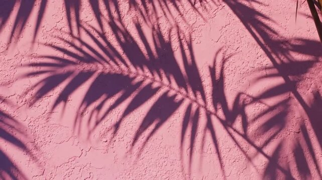 Palm leaf shadows on pink textured wall in bright sunlight creating aesthetic design