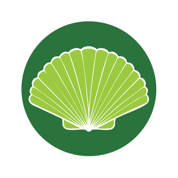 Green scallop shell vector icon