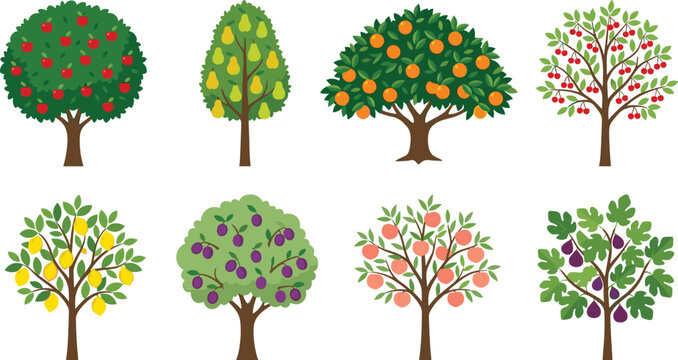 Collection of fruit tree illustrations including apple, pear, orange, cherry, lemon, plum, peach, and fig