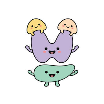 Thyroid and Parathyroid Glands Cartoon.
