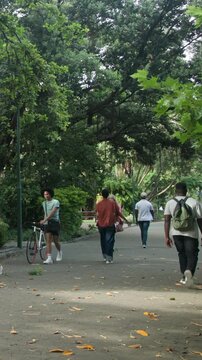 Vertical video: Entering orange-shirted adult walking parkway, passing others with green pack, bike