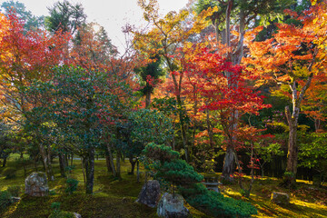 Obraz premium 日本の風景・秋 京都 紅葉の即宗院
