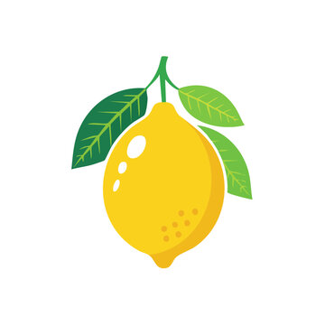Yellow Lemon with Green Leaves Vector Illustration