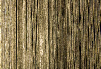 Fototapeta premium Deeply Cracked Old Wood Texture with Vertical Grain