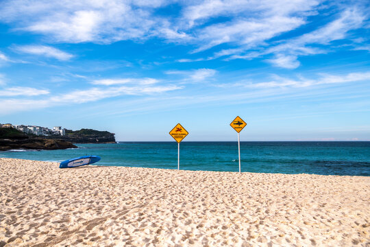 Shark warning and beach closure signs on Bronte Beach following a shark incident, with calm ocean and blue sky, Sydney, Australia.