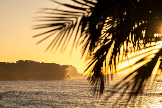 Golden sunrise over Bronte Beach with Ben Buckler headland framed by coastal vegetation and breaking waves, Sydney, New South Wales, Australia.