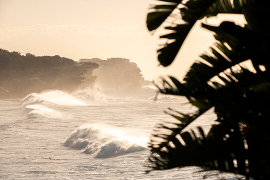 Golden sunrise over Bronte Beach with Ben Buckler headland framed by coastal vegetation and breaking waves, Sydney, New South Wales, Australia.