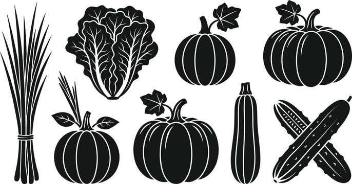 Fresh Autumn Harvest Vegetables Silhouette Icon Set Featuring Pumpkins, Lettuce, Zucchini Squash, Cucumbers, and Lemongrass for Organic Farm Food and Agriculture Marketing Concepts