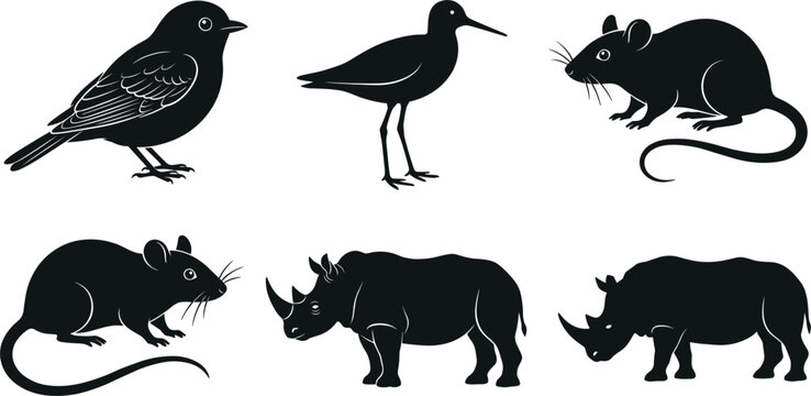 Wild Animals and Birds Silhouette Vector Graphic Pack Featuring Songbird, Long Legged Shorebird, Little Field Mice, and Horned African Rhinoceros Wildlife Symbols