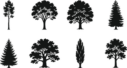 Deciduous and coniferous trees black silhouette icon vector set featuring oak pine cypress and maple varieties collection © Rahen