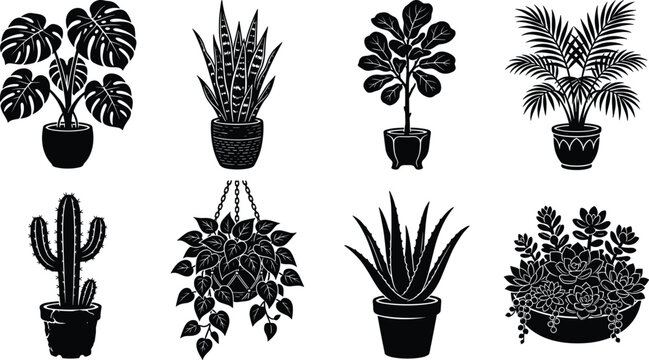Potted houseplants black silhouette vector icon set featuring monstera snake plant fiddle leaf fig cactus and succulents