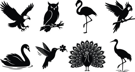 Wild birds black silhouette collection vector set featuring eagle owl flamingo parrot swan hummingbird peacock and heron icons © Rahen