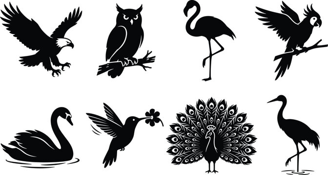 フクロウミミズク」の写真素材 | 91,941件の無料イラスト画像 | Adobe