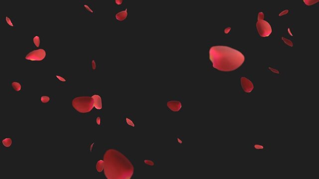 A 4K, 60 fps video of realistic 3D render of red roses gently falling in the air with depth of field on transparent background, alpha channel.