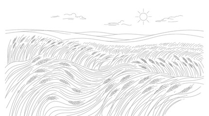 Wheat Field Under Sunlight Illustration. © sudar