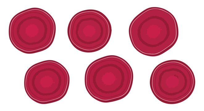 Fresh Organic Red Beetroot Slices Collection Isolated on White Background for Vegetarian Recipes and Juice