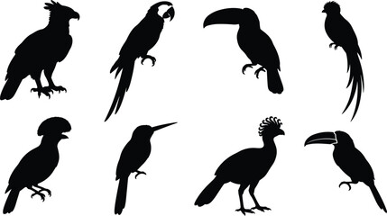 Tropical bird silhouettes collection featuring toucan macaw parrot eagle and exotic rainforest wildlife isolated on white © MdHasmot