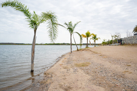 Palmeras sobre la costa del Lago Piedras Moras en Almafuerte, C&oacute;rdoba