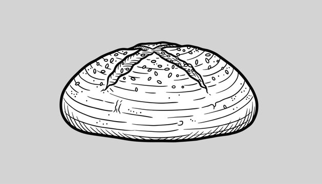 Detailed hand-drawn illustration of a fresh round loaf of artisanal bread with scored crust on a simple gray background surface.