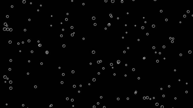 Bubbles rising in water isolated on black background motion graphic