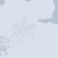 Obraz premium Delicate snowflake macro detail on soft white background, winter close-up